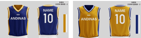 Daniela pauline Rodriguez Rozo- Customized Reversible Basketball Jersey